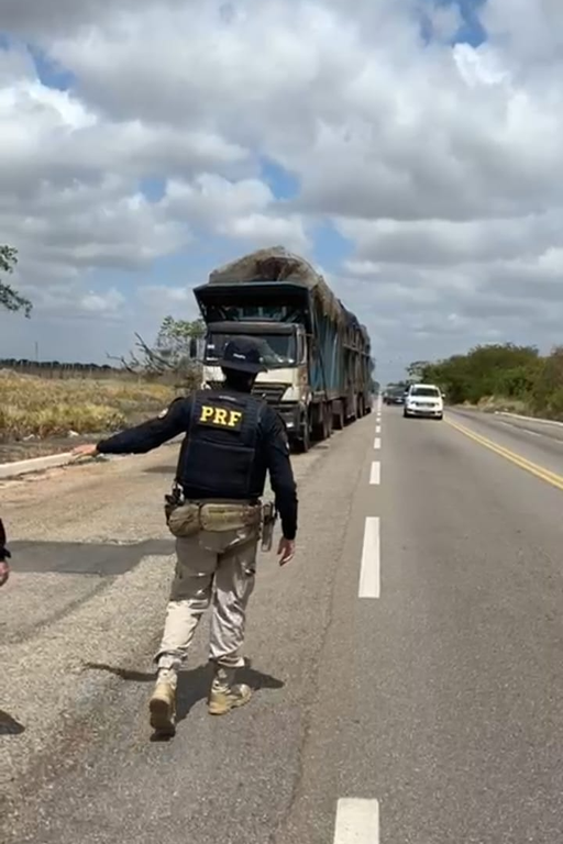 WhatsApp Image 2025-01-03 at 13.14.27.png