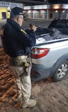 ocorrencia-lagosta jun 25.png