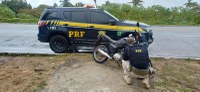 Duas motocicletas adulteradas foram recuperadas pela PRF-RN no último domingo