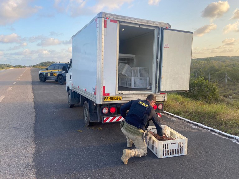 WhatsApp Image 2025-09-24 at 13.57.52.jpeg