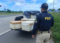 PRF intercepta transporte irregular de mais de 330 kg de pescado na BR-101 no RN