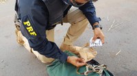 PRF prende caminhoneiro em Lajes/RN na posse de comprimidos de anfetamina
