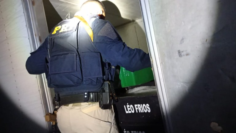 20211005 - aves silvestres (2).jpeg