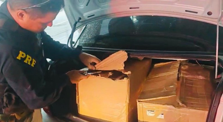 WhatsApp Image 2026-02-11 at 11.47.01.jpeg