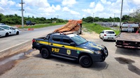 PRF apreende carga ilegal de madeira na Grande Natal