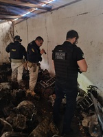 PRF e Polícia Civil apreendem monoblocos e motores veiculares em ação conjunta