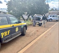 Carro carregado com mais de 150kg de maconha é interceptado após perseguição na BR 386