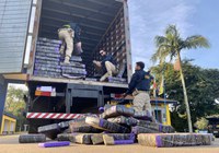 Duas toneladas de maconha são apreendidas pela PRF