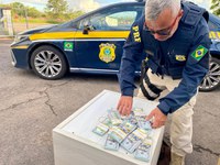 PRF apreende o equivalente a mais de meio  milhão de reais sem procedência em Eldorado do Sul