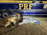 PRF apreende o equivalente a mais de um milhão de reais em cocaína na Freeway