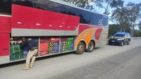PRF e RFB apreendem ônibus carregado de mercadorias em Caçapava do Sul