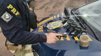 PRF prende passageira de ônibus com seis pistolas e um quilo de sementes de maconha