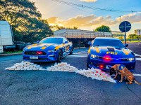 PRF apreende grande carregamento de cocaína avaliada em mais de 16 milhões de reais