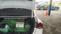 PRF prende casal de traficantes com 165 quilos de maconha em Vacaria