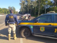 PRF prende homem por porte ilegal de arma de fogo em Montenegro/RS