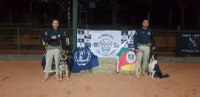 PRF participa do 6° K9 Olympics Brasil e certificação internacional de cães de trabalho
