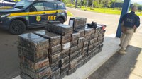 PRF prende traficante com quase 1 tonelada de maconha em Osório/RS