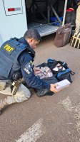 PRF apreende maconha com passageiro de ônibus em Lajeado/RS