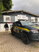 PRF prende homem realizando atos obscenos ao lado de uma criança de 9 anos em Eldorado do Sul/RS