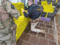 PRF prende traficante com 1 tonelada de maconha após tentativa de fuga no RS