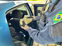 PRF apreende skunk dentro de embalagem de suplemento alimentar em Eldorado do Sul