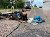 PRF apreende Skunk em ônibus em Eldorado do Sul com a ajuda dos cães farejadores