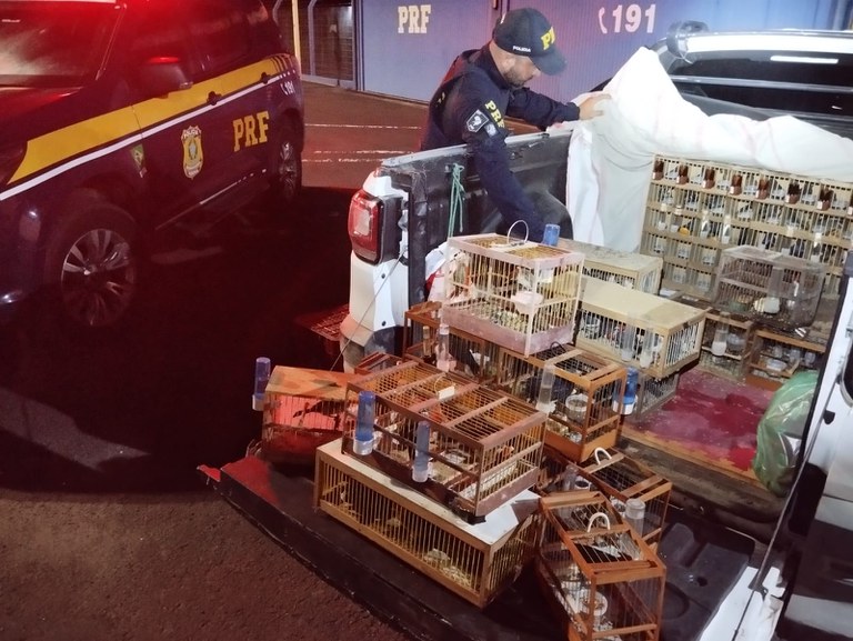 Imagem do WhatsApp de 2024-02-06 à(s) 11.14.59_09671c2f.jpg