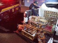 PRF resgata cerca de 130 pássaros silvestres na BR 101 em Torres