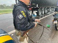 PRF prende ex-detento armado pilotando moto embriagado