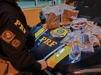 PRF e PC prendem traficante com haxixe e skunk em Santa Maria