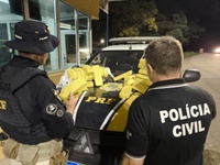 PRF e PC prendem traficante com maconha em Santa Maria