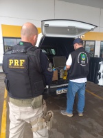 PRF participa de força-tarefa para fiscalizar irregularidades na venda de combustíveis na BR-290, em São Gabriel