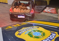 PRF prende dupla transportando galos de rinha em Montenegro/RS
