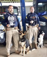 Cão de faro da PRF vence competição de cães de polícia em Sapiranga