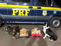 Com a utilização de cães farejadores, PRF apreende diversas drogas dentro de ônibus em Eldorado do Sul