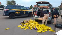 Após fuga, traficantes são presos pela PRF transportando 300 quilos de maconha em um carro roubado