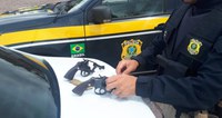 Logo após assalto, criminosos armados são presos pela PRF em São Leopoldo
