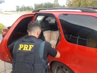 PRF apreende mais de 300 quilos de peixe e camarão sendo transportados sem as mínimas condições de higiene e refrigeração em Rio Grande