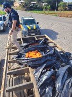 PRF apreende mais de uma tonelada de maconha em fundo falso de caminhão