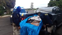 PRF apreende mais de uma tonelada de peixe transportado sem refrigeração