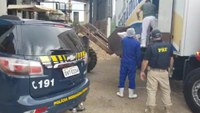 PRF e Vigilância Sanitária apreendem quase uma tonelada de carne transportada sem refrigeração em Veranópolis