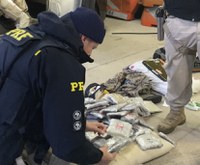 PRF prende casal de traficantes com skunk em Pelotas