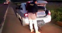 PRF prende casal em carro carregado com milhares de maços de cigarros paraguaios