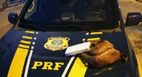 PRF prende casal transportando cocaína em Bagé