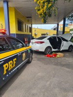 PRF prende criminoso com mais de 25 quilos de maconha