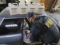 PRF prende pai e filho contrabandeando agrotóxicos em Santa Maria