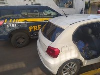 PRF resgata sete galos de rinha em situação de maus-tratos em Vacaria