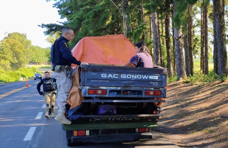 WhatsApp Image 2026-02-03 at 11.34.37.jpeg