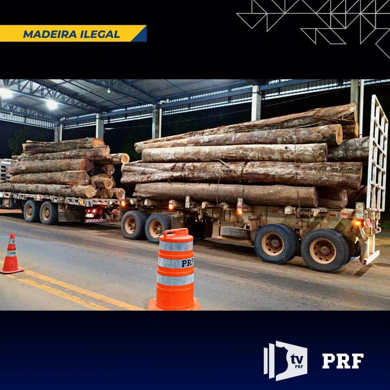 MADEIRA ILEGAL1.1.jpg