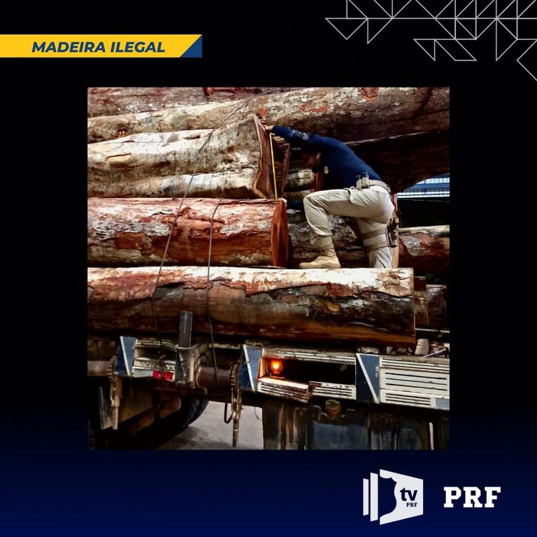 MADEIRA ILEGAL1.2.jpg